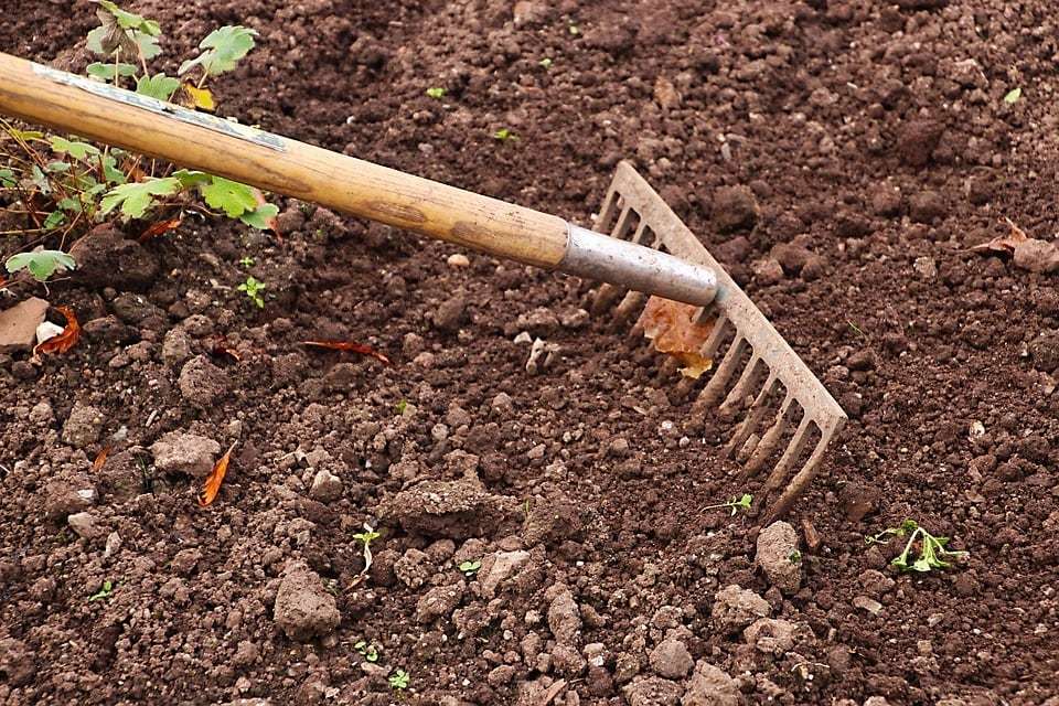 Fréquence idéale pour arroser les plantes